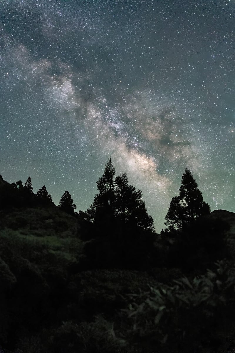Green Space Image